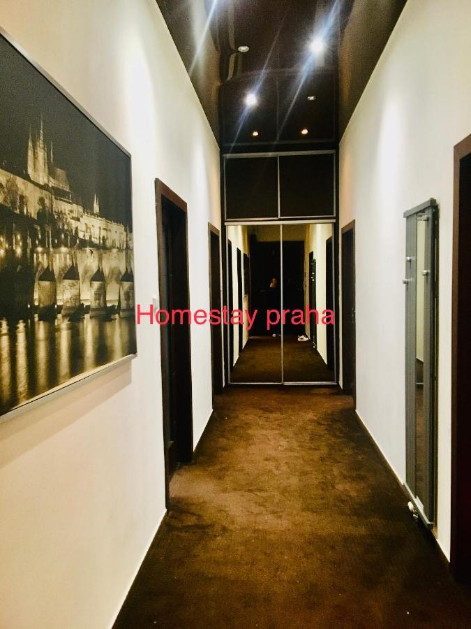 Flat In Centre 2 * Praga